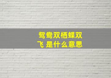 鸳鸯双栖蝶双飞 是什么意思